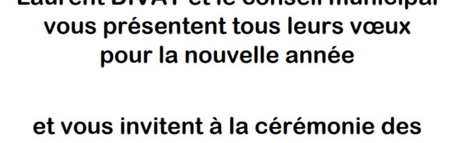 Voeux du Maire